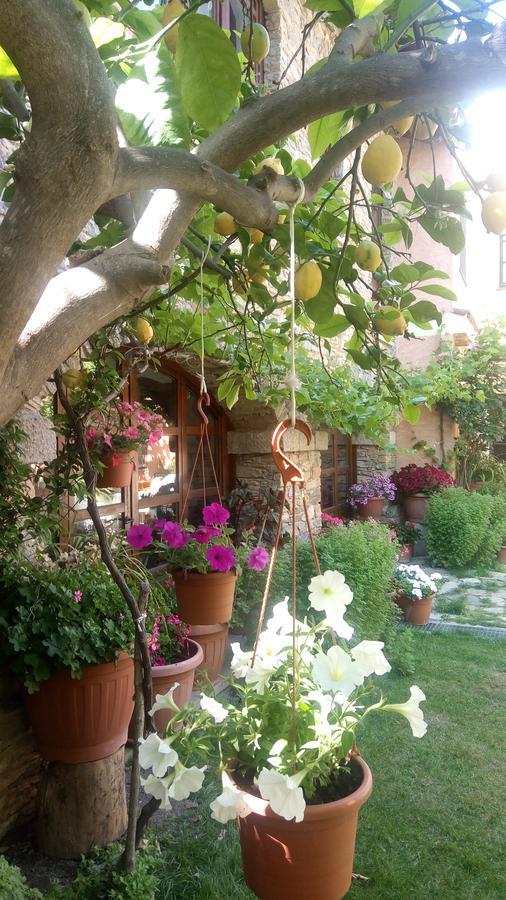 B&B Teresina Villasalto Dış mekan fotoğraf
